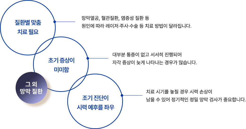 그 외 망막 질환 1. 질환별 맞춤 치료 필요 : 망막열공, 혈관질환, 염증성 질환 등  원인에 따라 레이저·주사·수술 등 치료 방법이 달라집니다. 2. 초기 증상이 미미함 : 대부분 통증이 없고 서서히 진행되어  자각 증상이 늦게 나타나는 경우가 많습니다. 3. 조기 진단이 시력 예후를 좌우 : 치료 시기를 놓칠 경우 시력 손상이  남을 수 있어 정기적인 정밀 망막 검사가 중요합니다.