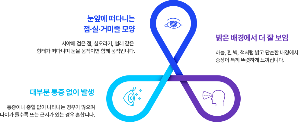 1. 눈앞에 떠다니는 점·실·거미줄 모양 : 시야에 검은 점, 실오라기, 벌레 같은  형태가 떠다니며 눈을 움직이면 함께 움직입니다. 2. 밝은 배경에서 더 잘 보임 : 하늘, 흰 벽, 책처럼 밝고 단순한 배경에서  증상이 특히 뚜렷하게 느껴집니다. 3. 대부분 통증 없이 발생 : 통증이나 충혈 없이 나타나는 경우가 많으며 나이가 들수록 또는 근시가 있는 경우 흔합니다.